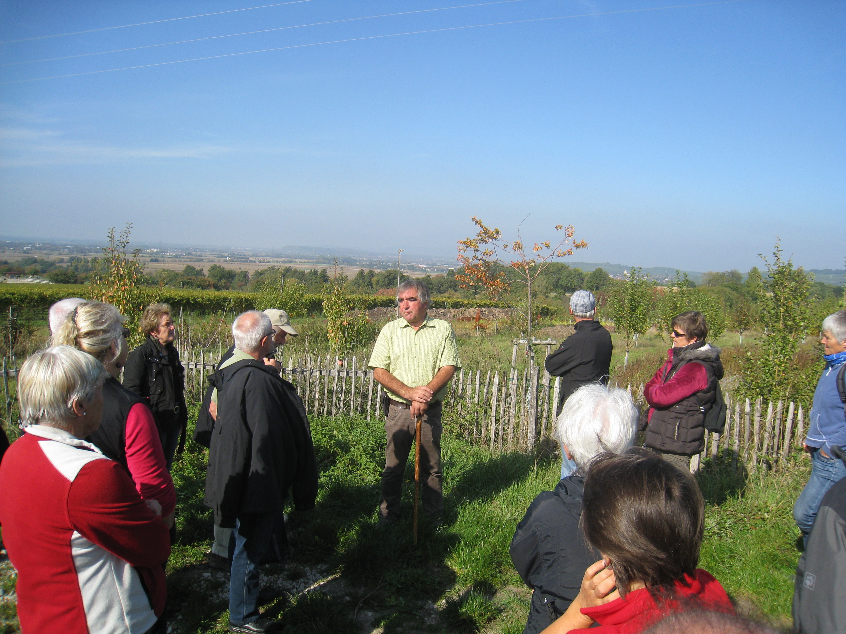 Im Obstparadies Staufen